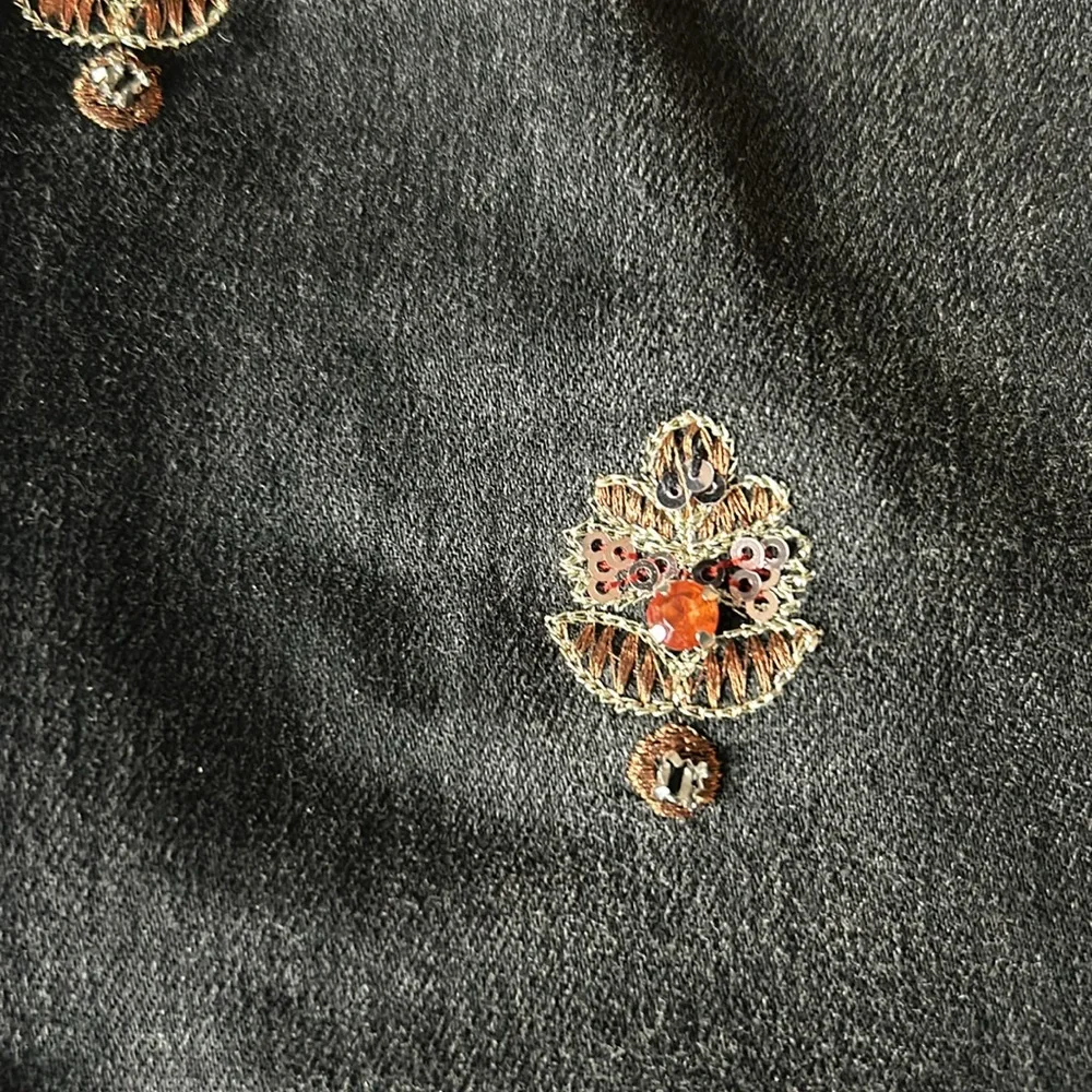 Pilcro Black Skinny Jeans with Embellishments - Picture 5 of 9